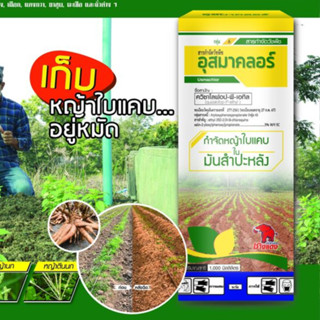 ควิซาโลฟอป-พี-เอทิล 5% ( อุสมาคลอร์ ) สารกำจัดวัชพืชใบแคบในมันสำปะหลัง พืชผัก ตราช้างแดง