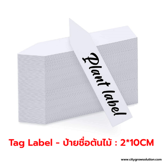 ป้ายชื่อต้นไม้สีขาว - Tag label : 2*10CM (100ชิ้น)