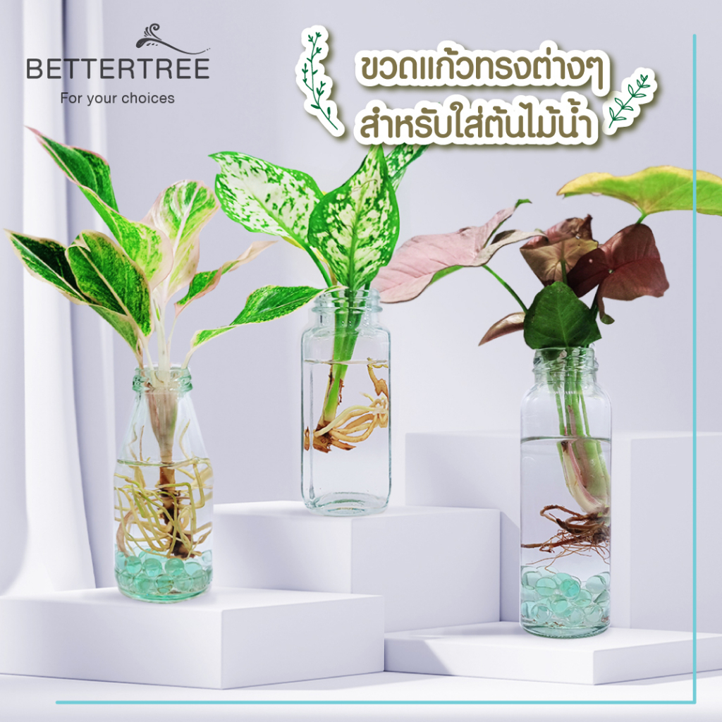 ภาพสินค้าขวดแก้ว ใส่ต้นไม้เลี้ยงน้ำ แจกันมินอมอล แจกันแก้ว vase จากร้าน bettertree บน Shopee ภาพที่ 1