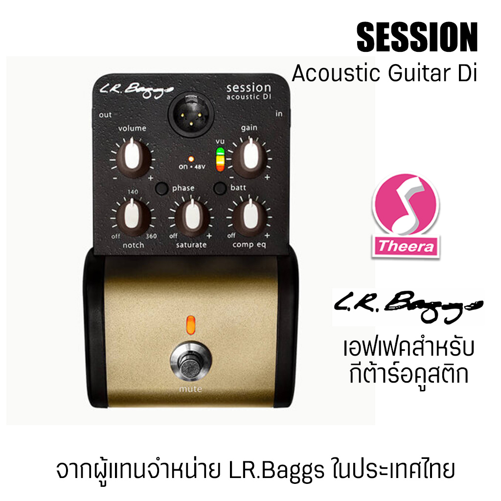 通電確認済L.R Baggs Session acoustic DI