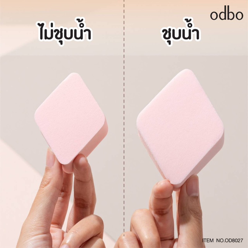 od8027-โอดีบีโอ-ออล-อิน-วัน-สปอนจ์