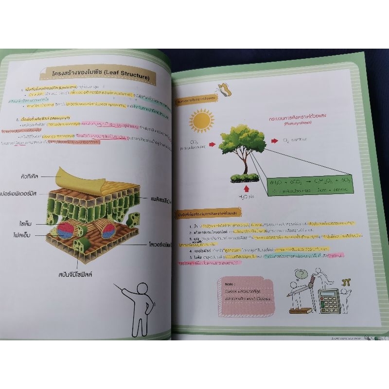 short-note-and-test-ติวเข้ม-ชีวะ-ม-ต้น-thinkbeyond