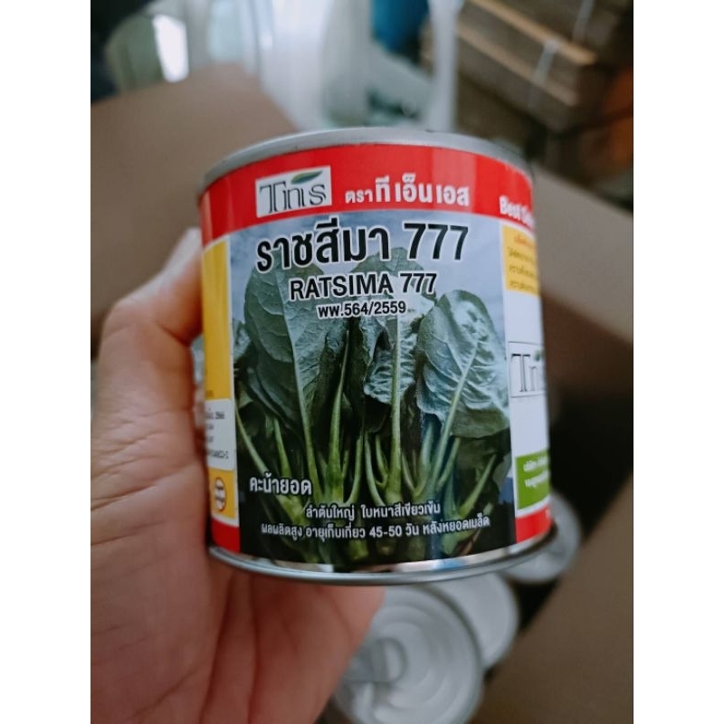 คะน้ายอด-ราชสีมา777