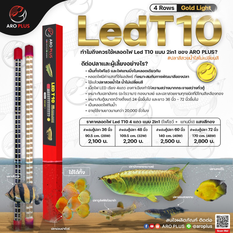 หลอดไฟ-led-t10-2in1-แบบ-4-แถว-สีทอง