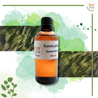 หัวน้ำหอมแท้ กลิ่นยูคาลิปตัส Eucalyptus Essential Oil 100 ml.เกรดพรีเมียม ทำเครื่องหอม เครื่องสำอางค์ Lotion , cream