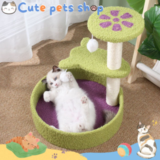 บ้านแมว ของเล่นแมว คอนโดติดผนัง เสาลับเล็บแมว ที่ฝนเล็บ ที่นอนแมว cat scratcher climbing ราคาถูก เสาลับเล็บดอกไม้ tree