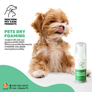 โฟมแชมพูอาบน้ำแห้ง Pets dry foaming