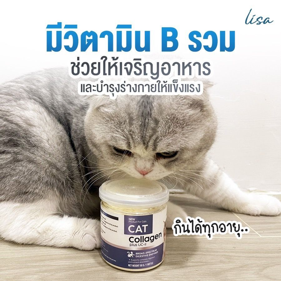 lisa-cat-collagen-ลิซ่า-ผงเสริมอาหารบำรุงขน-สำหรับแมว
