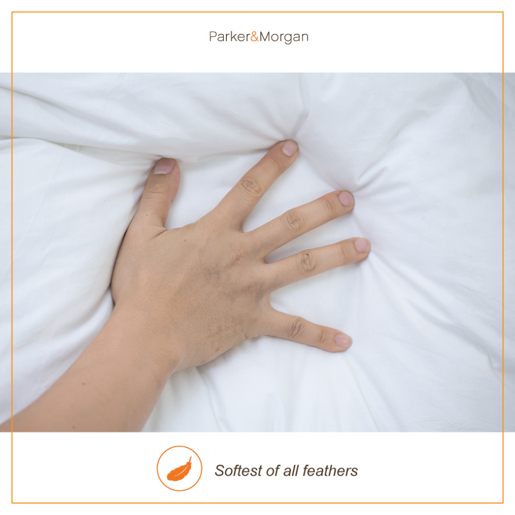 Parker & Morgan รุ่น Georgia ไส้ผ้านวมขนเป็ดแท้ Twin Size (80% ขนอ่อน, 20% ขนปีก) มอบสัมผัสแห่งการพักผ่อนระดับพรีเมียมด้วยวัสดุคุณภาพสูงที่คัดสรรมาอย่างดี