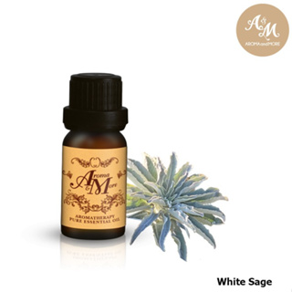 Aroma&amp;More White Sage Essential oil Bulgaria 100% / น้ำมันหอมระเหยไวท์ เสจ / บัลกาเรีย 100ML