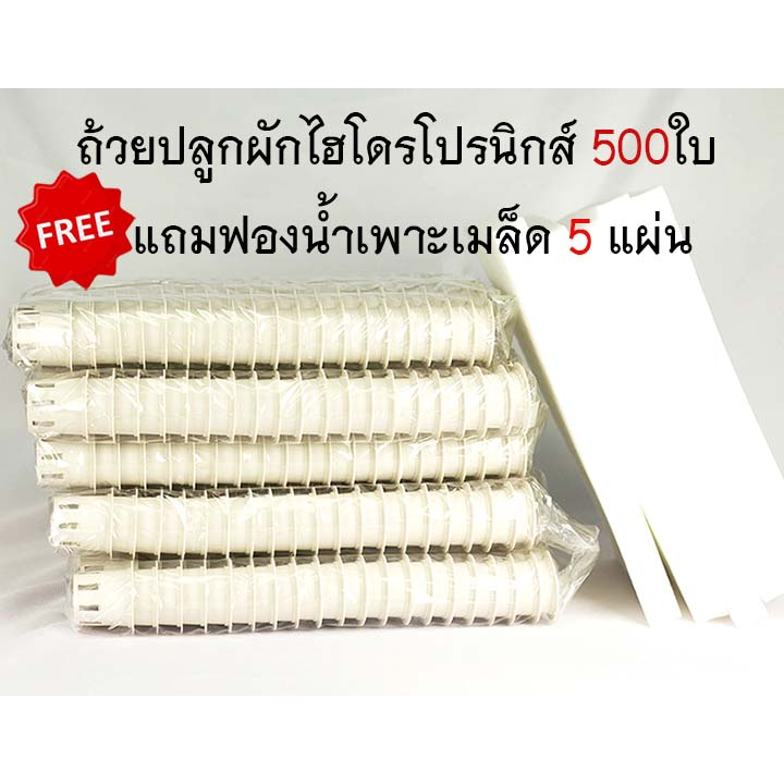 ถ้วยปลูกผักไฮโดรโปรนิกส์-500ใบ-ฟรีฟองน้ำเพาะเมล็ด-5แผ่น-ถ้วยปลูก-ฟองน้ำเพาะเมล็ด-อุปกรณ์ปลูกผักไฮโดรโปรนิกส์