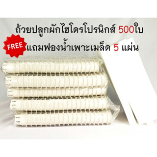 ถ้วยปลูกผักไฮโดรโปรนิกส์ 500ใบ ฟรีฟองน้ำเพาะเมล็ด 5แผ่น | ถ้วยปลูก ฟองน้ำเพาะเมล็ด อุปกรณ์ปลูกผักไฮโดรโปรนิกส์