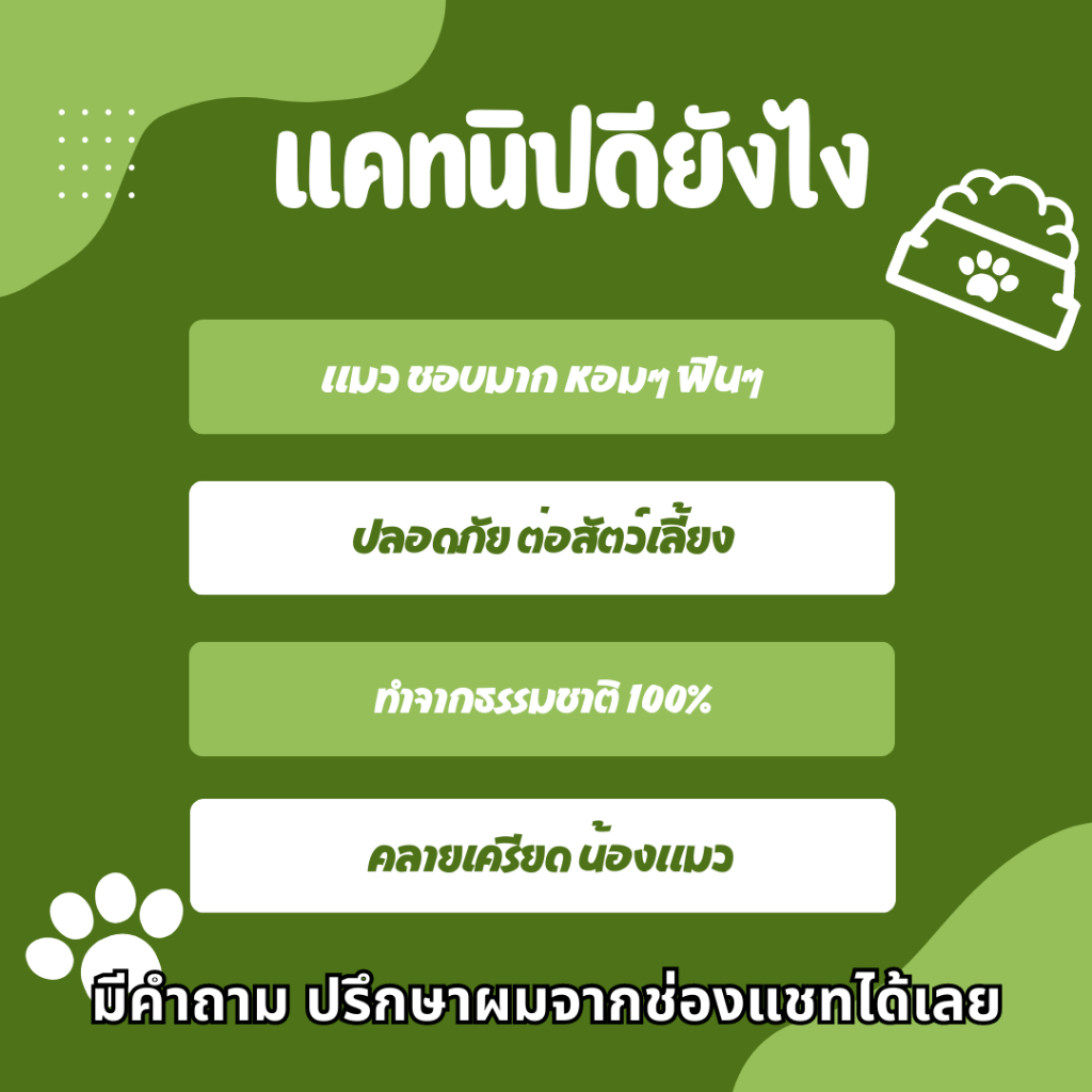 พร้อมส่ง-ร้านไทย-ส่งไว-แคทนิป-กัญชา-แมว-ชอบมาก-หอมๆฟิน-คลายเครียดน้องแมว-อุดหนุนร้านไทย-catnip