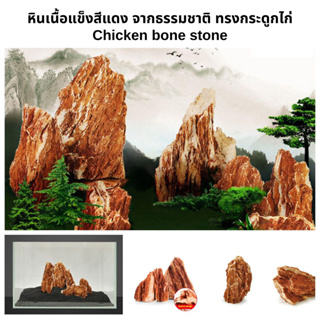 หินสีแดง จากธรรมชาติ "ก้อนใหญ่" Red stone /Chicken bone stone ตกแต่งตู้ปลา ตู้ไม้น้ำ แต่งสวน น้ำตก สวนถาด #หินตู้ไม้น้ำ