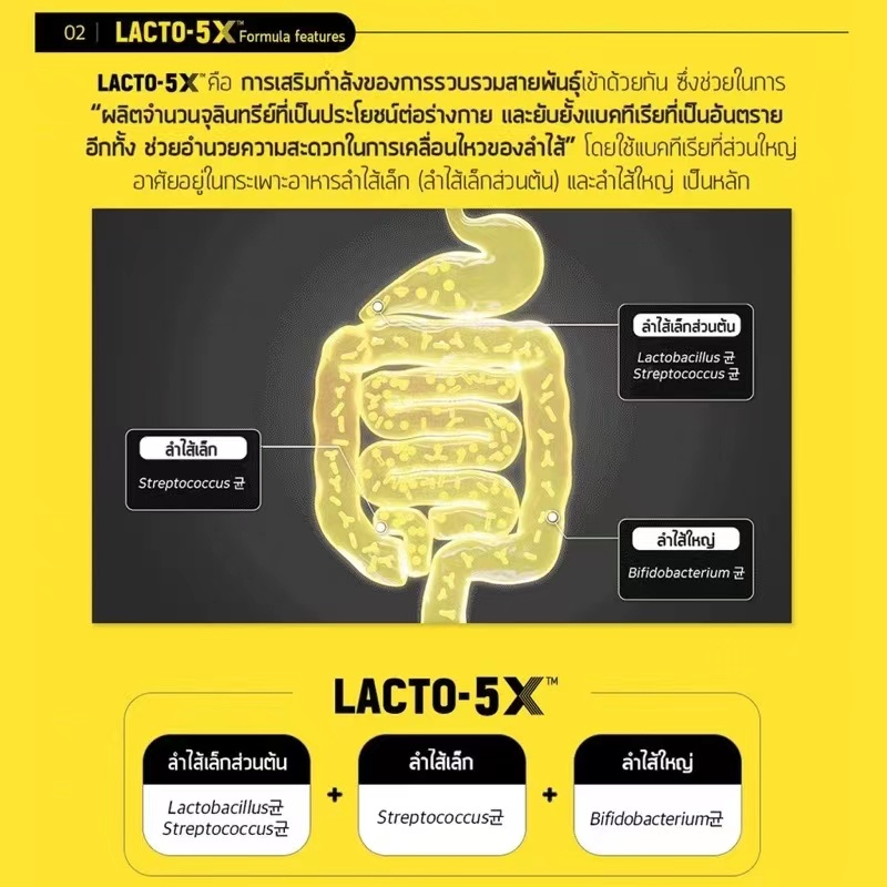 lacto-fit-โพรไบโอติก-adult-gmo-free-แลคโตฟิต-โพรไบโอติกส์-ปรับสมดุลลำไส้-made-in-korea