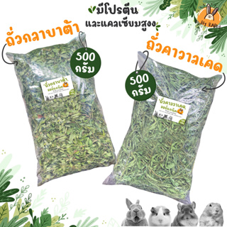 ถั่วกลาบราต้า (Arachis Glabrata Benth) // ถั่วคาวาลเคด (Cavalcade) - 500 กรัม