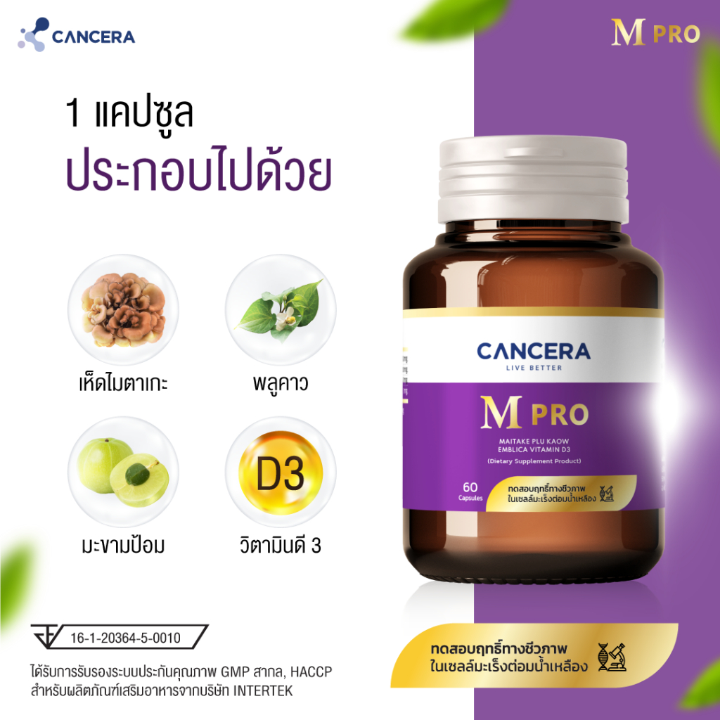 m-pro-เอ็มโปร-สูตรสารสกัดเข้มข้น-ผู้ป่วยมะเร็ง-1-กระปุก-60-เเคปซูล