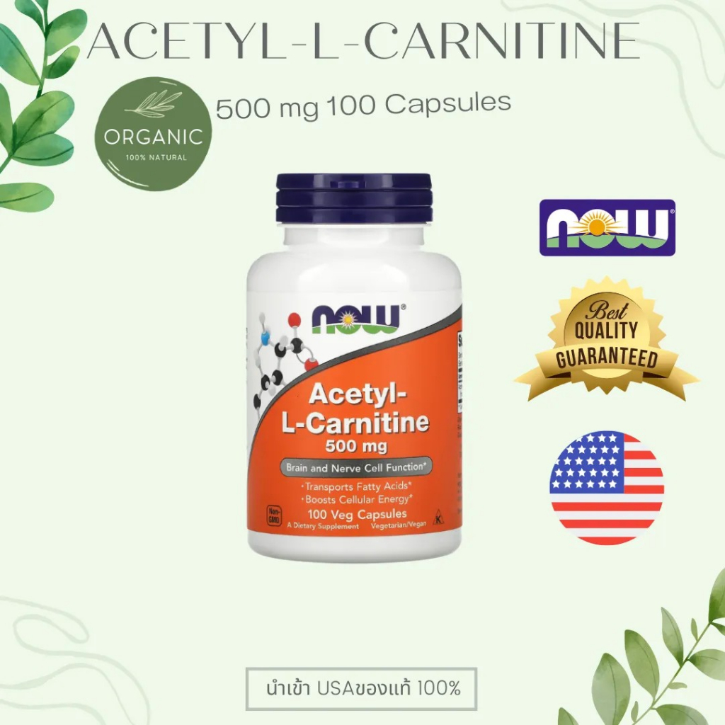 now-acetyl-l-carnitine-500mg-100cap-อะเซทิล-แอล-คาร์นิทีนแคปซูลผัก-100-แคปซูล