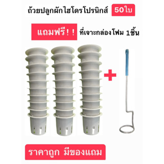 ถ้วยปลูกขาวไฮโดรโปนิกส์ จำนวน 50 , 100 ใบแถมฟรีที่เจาะ