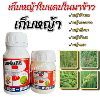 ยาฆ่าหญ้า ยาฆ่าหญ้าในนาข้าว ฟีโนซาพรอป-พีเ-อทิล บอร์นอิจิ ยาเก็บหญ้าในนาข้าว หญ้าข้าวนก หญ้าดอกขาว หญ้านกสีชมพู