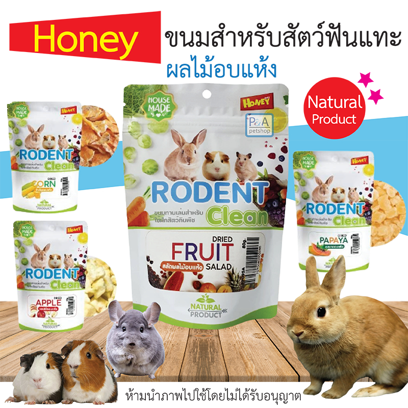 พร้อมส่ง!!HoneyJoy_Rodent Clean/ขนมสำหรับสัตว์ฟันแทะ/ผลไม้อบแห้ง. ...