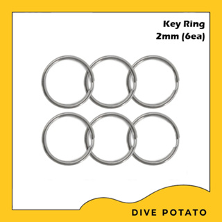 Key Ring Split Ring 2mm (6ea)