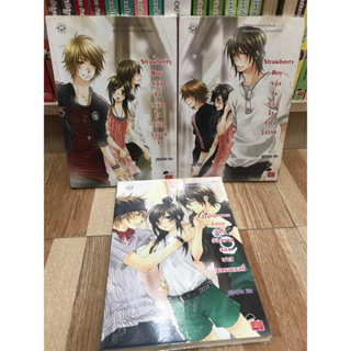 นิยายแจ่มใส เซ็ต Strawberry Boy 1-2 / Dangerous Love ของ หนุ่มกรุงโซล jamsai นิยายแจ่มใสมือสอง หนังสือมือสอง