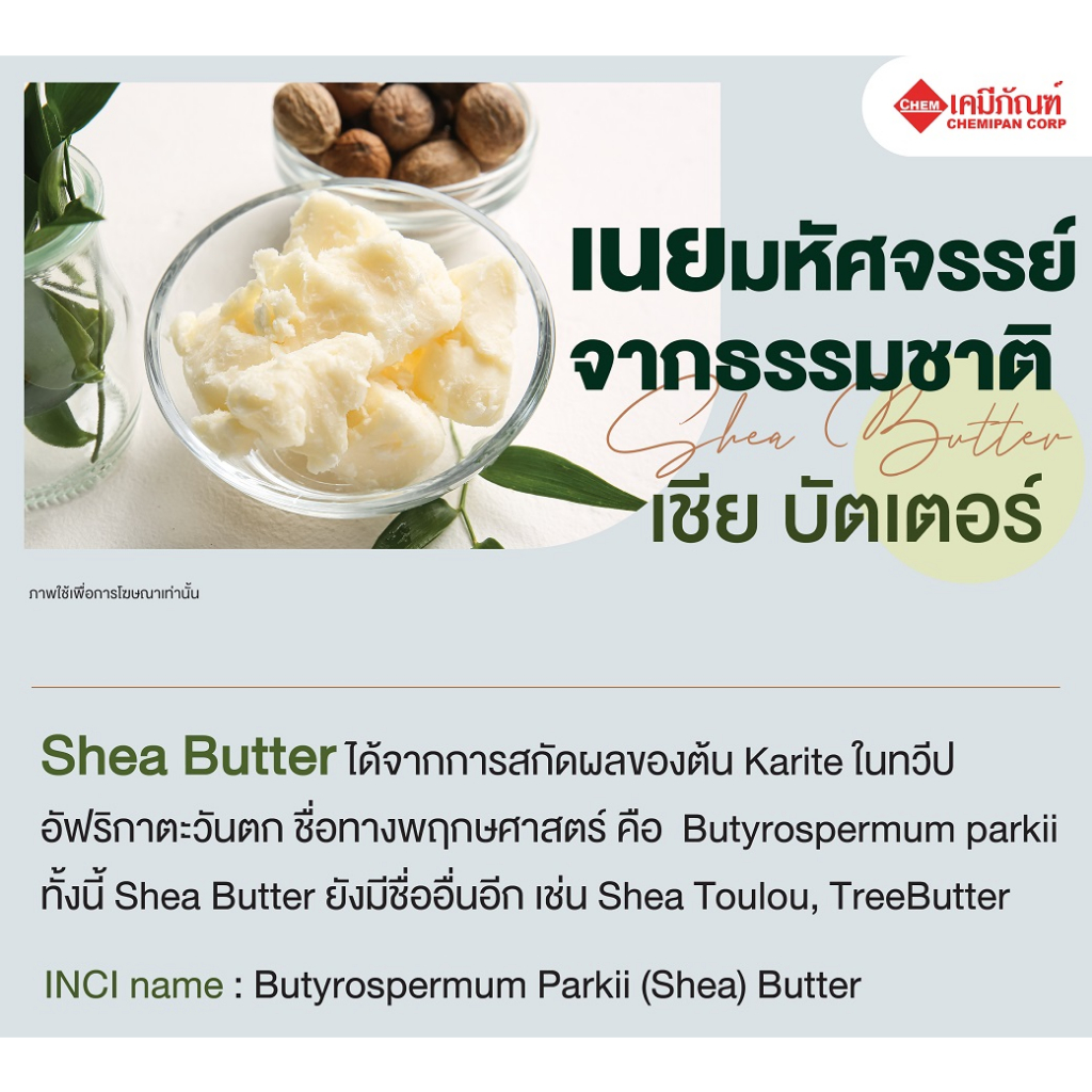 shea-butter-เชีย-บัตเตอร์