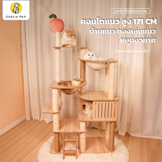 NEW! คอนโดแมว คอนโดแมวไม้ พร้อมหลุมอวกาศ เสาลับเล็บเชือกหนา บ้านแมว ขนาดใหญ่