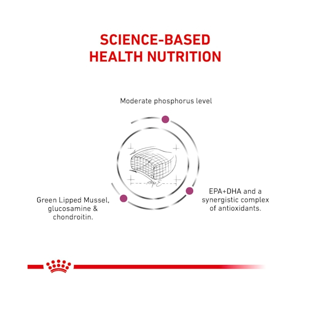 royal-canin-early-renal-อาหารแมวประกอบการรักษาโรคไตในระยะเริ่มต้น-ชนิดเม็ด-early-renal-6kg