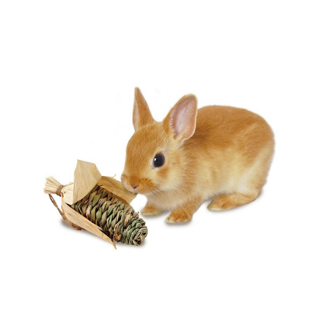 bunny-box-มารุคัง-หญ้าถักทรงข้าวโพด-m-สำหรับแทะ-กระต่าย-แกสบี้