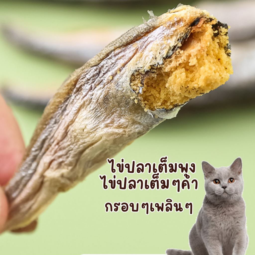 ปลาไข่แท้-100-ปลาไข่แมว-ปลาไข่สุนัข-โปรตีนสูง-ไม่ใช้วัตถุกันเสีย-ปลาไข่เต็มตัว-ขนมแมว