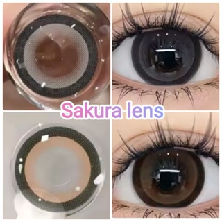 คอนแทคเลนส์  รุ่น Sakura By Kitty kawaii สีเทา/ตาล Gray/Brown มีค่าสายตาปกติ (0.00) เปลี่ยนแทนทุกเดือน