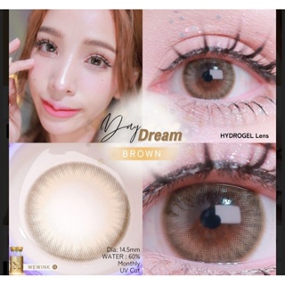 คอนแทคเลนส์ วี วิ้งค์ ฝาทอง Day Dream Brown ค่าอมน้ำ 60% สายตาปกติ-0.00 We Wink