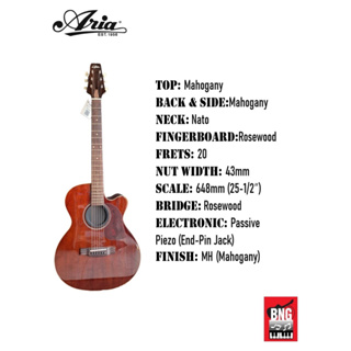 ARIA FET-RI-MH กีตาร์โปร่งไฟฟ้า แอเรีย ELECTRIC Acoustic Guitars