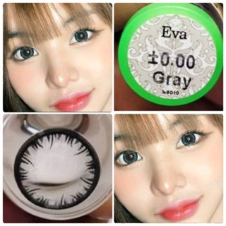 คอนแทคเลนส์ บิ๊กอาย รุ่น Eva สีเทา/ตาล Gray/Brown ค่าสายตา (0.00)-(-4.25)