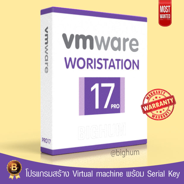 vmware-17-5-workstation-pro-2-0-2-3-for-win-full-with-serial