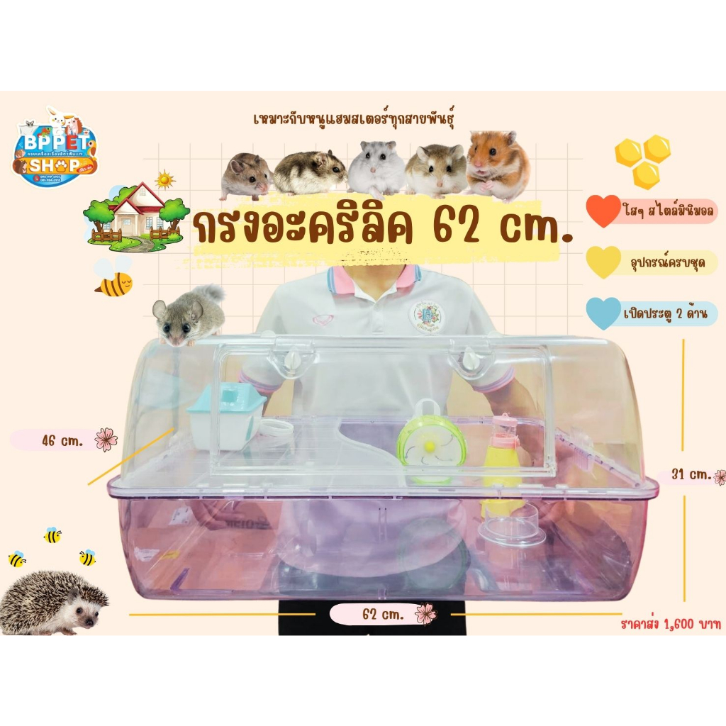 กรงหนูแฮมสเตอร์-กรงเม่นแคระ-กรงอะคริลิค-62cm-br62-กรงใส-กรง-สำหรับสัตว์เลี้ยง-แฮมสเตอร์-เม่นแคระ-กรงสัตว์เล็ก