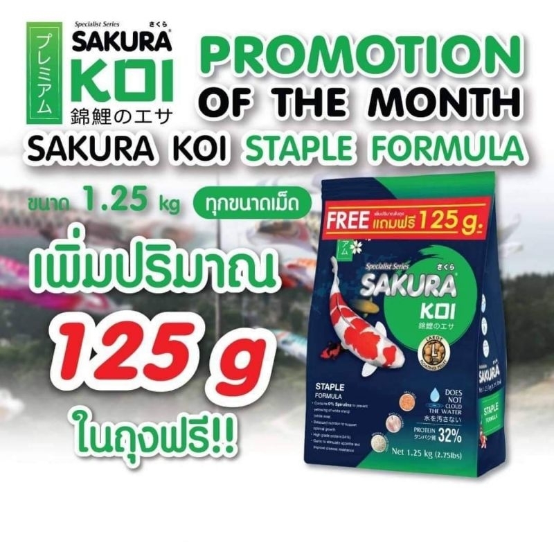 อาหารปลาคาร์ฟซากุระโค่ย-สูตรรักษาสมดุล-ขนาด-1-25-kg-แถมเพิ่มฟรี-125g-sakura-koi-staple-formura-ด่วนๆ