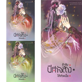 ข้าจับปีศาจสาวได้ตัวหนึ่ง เล่ม 1-3 (3เล่มจบ) หนู่หวางปู่ไจ้เจี่ย เขียน มือหนึ่งใหม่ในซีล ซีลไม่กริบ ราคาปก 894