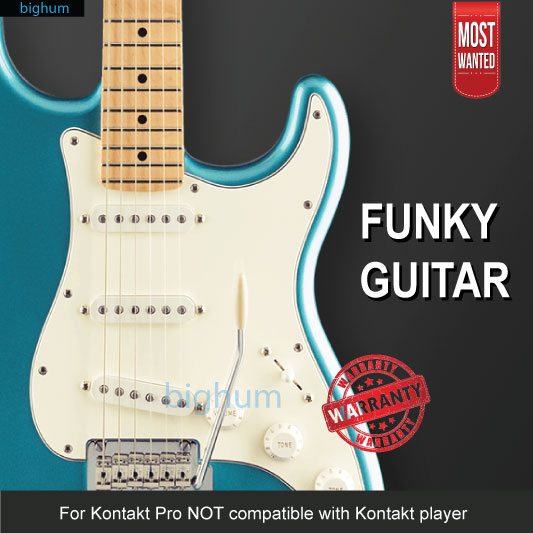 pettinhouse-funky-guitar-v2-5-kontakt-software-library-windows-mac