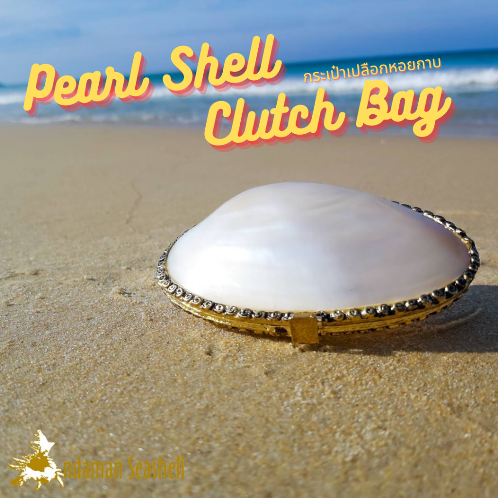 andaman-seashell-กระเป๋า-clutch-กระเป๋าใส่เหรียญ-เปลือกหอยกาบ-รุ่นเล็ก