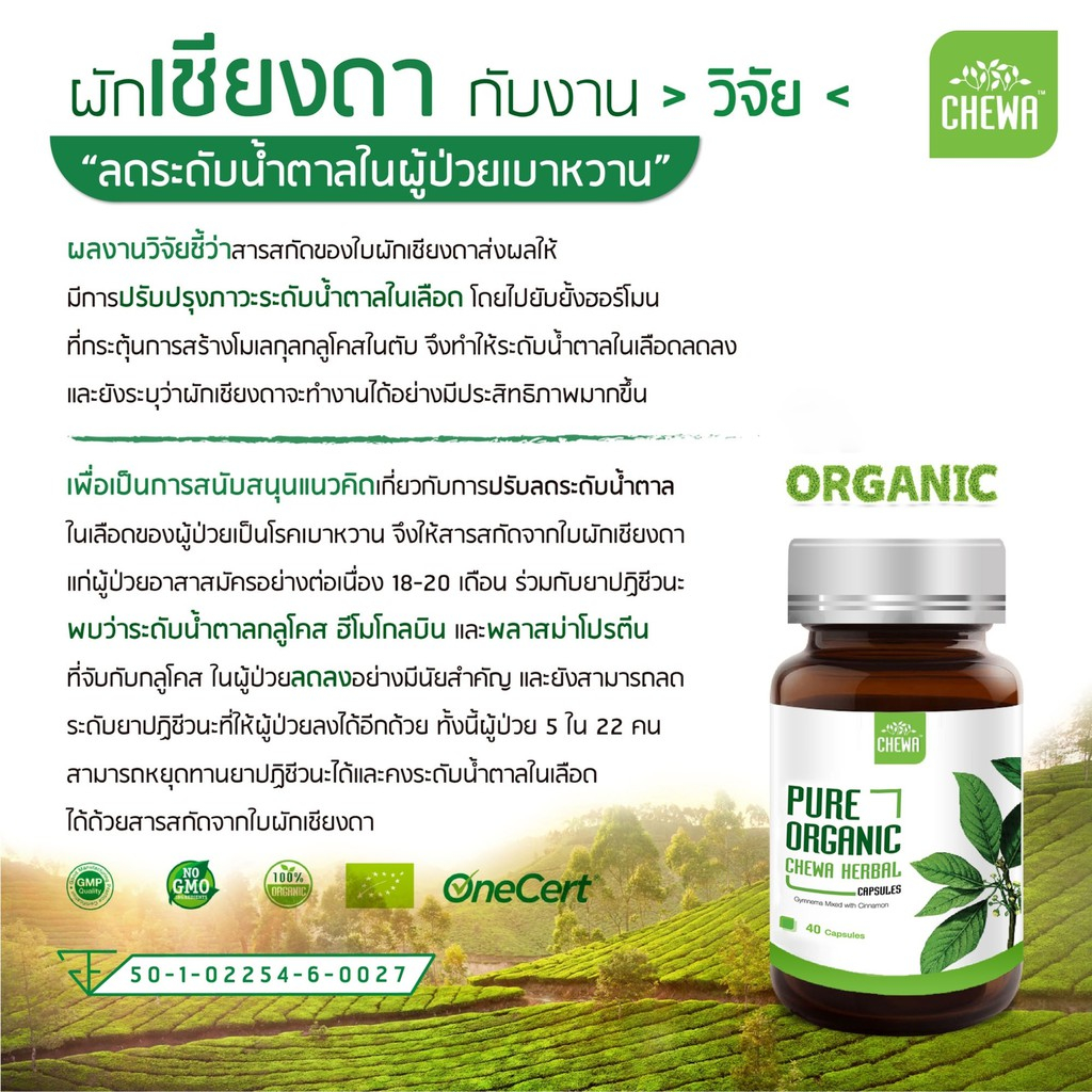 chewa-herbal-แคปซูล-ชาชง-ชีวาร์-ชีวาสมุนไพร-อาหารเสริม-ลดเบาหวาน-ลดน้ำตาล-สมุนไพร-เม็ดแคปซูล-ความดัน-ไขมันในเลือด-2