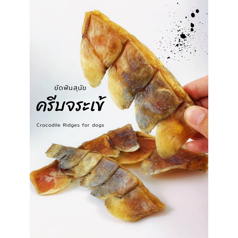ครีบจระเข้อบแห้ง ขนมน้องหมา DEHYDRATED CROC RIDGES | Shopee Thailand