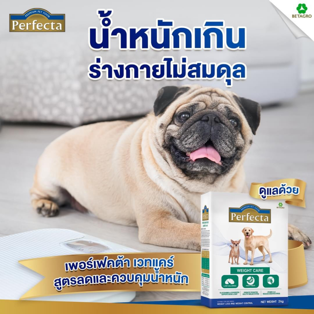 พร้อมส่งมีของแถม-สูตรรักษาโรคไต-500g-อาหารสุนัขโรคผิวหนังแพ้อาหาร-อาหารสุนัขลดน้ำหนัก-อาหารสุนัขควบคุมน้าหนัก-bn