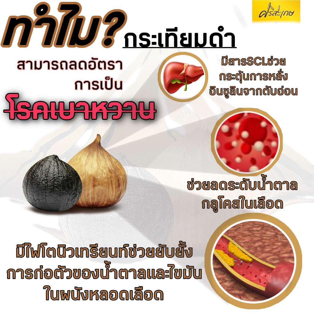 ภาพสินค้า(ขายส่ง )กระเทียมดำภูเขาไฟ ศรีษะเกษ(  กระปุกละ 500 กรัม) ไมรวม นน.ระปุก( สินค้าผลิตใหม่ ) จากร้าน srisaket_blackgarlic89 บน Shopee ภาพที่ 6