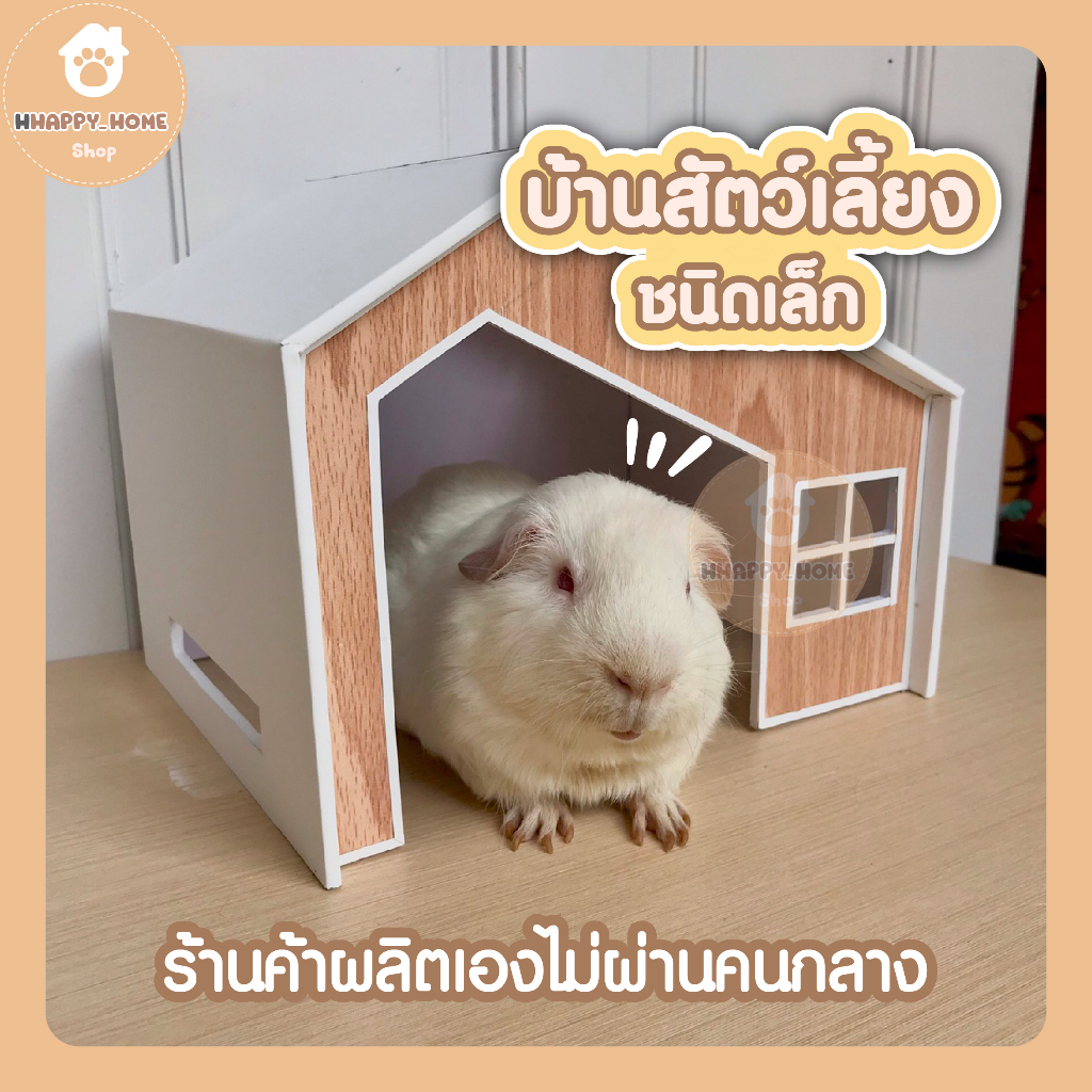 บ้านแกสบี้สไตล์โมเดิร์น-หนู-กระต่าย-เต่า-บ้านสัตว์เลี้ยง-บ้านสัตว์เลี้ยงชนิดเล็ก-บ้านสัตว์เล็ก-พร้อมส่ง-บ้านหมา-บ้านแมว