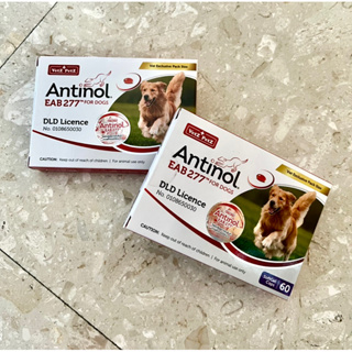 ภาพหน้าปกสินค้าAntinol for dogs อาหารเสริม บำรุงข้อสุนัข ขนาด 60 เม็ด Exp. ปี 2024 ที่เกี่ยวข้อง