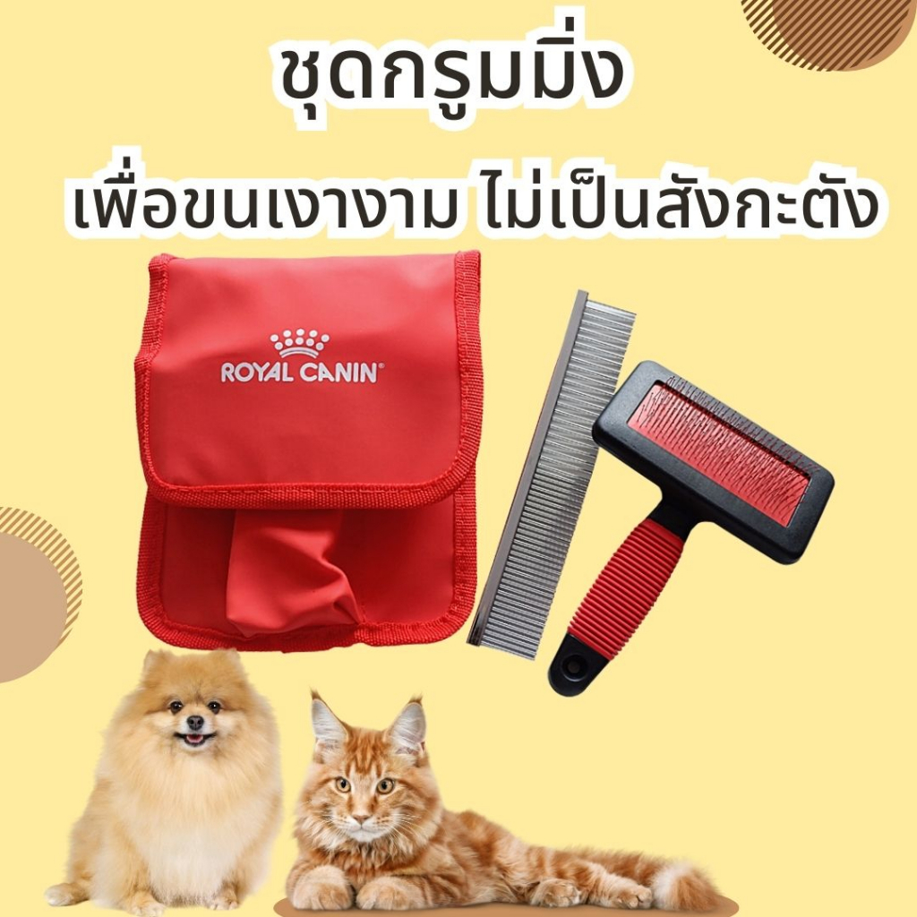 dog-grooming-kit