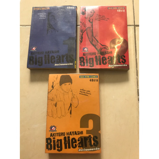 BIG HEARTS  3 เล่มจบ